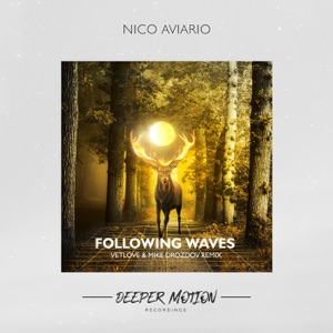 Nico Aviario — Following Waves (Mike Drozdov & VetLove Remix)