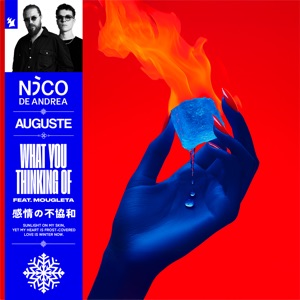 Nico De Andrea — What You Thinking Of