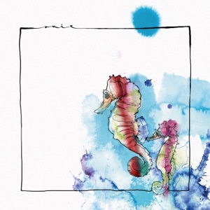 David Mayer, Nico Stojan — Fling (Original Mix)