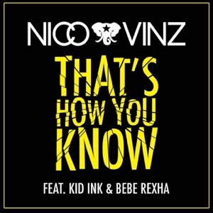 NICO & VINZ feat KID INK & BEBE REXHA — THATS HOW YOU KNOW__brend