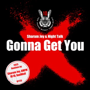 Sharam Jey, Night Talk — Gonna Get You (ID ID Remix)