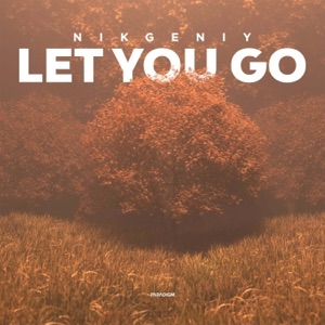 Nikgeniy — Let You Go