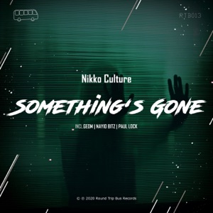 Nikko Culture — Something's Gone