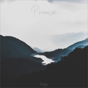 Nomyn — Promise