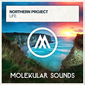 Northern Project — Life