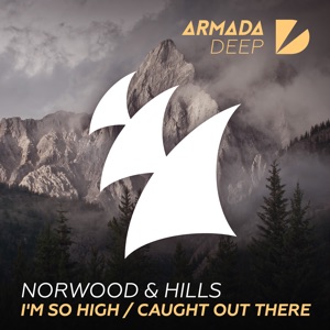 Norwood & Hills — Pay Me A Visit