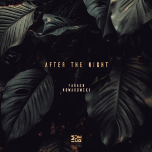 Nowakowski — After the Night