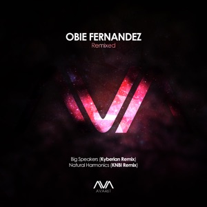 Obie Fernandez — Natural Harmonics (KNBI Extended Remix)