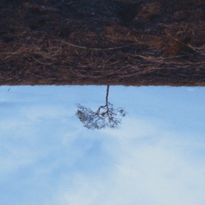 Oleg Byonic — Daydream