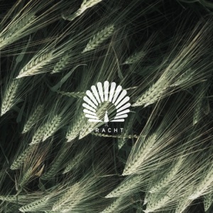 Oliver Schories — Packard (Mihai Popoviciu Remix)