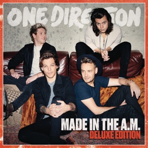 One Direction — Perfect