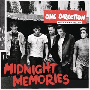 ONE DIRECTION — STORY OF MY LIFE (2013)