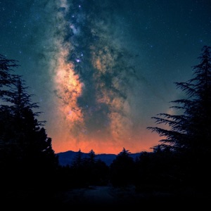 Bucky, Oscuro — Starlit Meadows