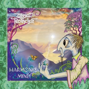 Ozric Tentacles — Space Platform