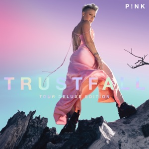 P!nk — All Out Of Fight