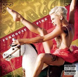 P!NK — I DON'T BELIEVE YOU (2009)