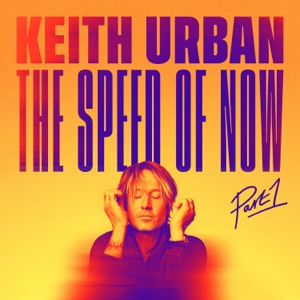 P!nk & Keith Urban — One Too Many