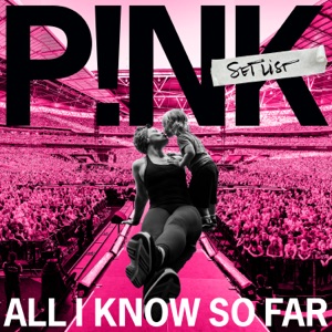 P!NK — SO WHAT (2008)
