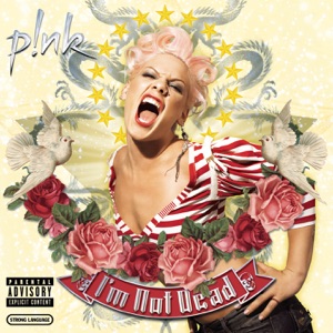 P!NK — WHO KNEW (2006)