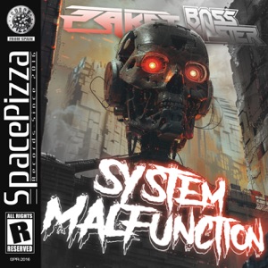 PAKET/BASS MASTER — System Malfunction