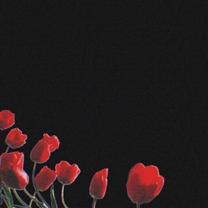 Palaraga — Proshai