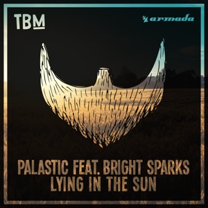 PALASTIC ft BRIGHT SPARKS — Lying In The Sun