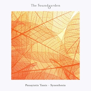 Panayiotis Tassis — Synesthesia