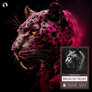 Pandapush — Break My Heart