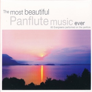 Panflute — How Deep Is Your Love
