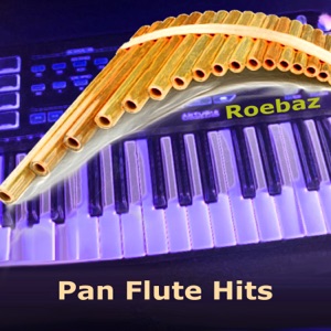 Panflute — No Matter What