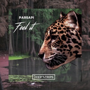 PARSAPI — Feel it