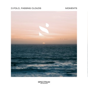 D.Polo,Passing Clouds — Moments