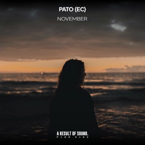 PATO (EC) — November (Radio Edit)