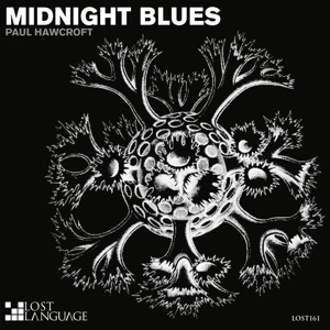 Paul Hawcroft — Midnight Blues (Ovnimoon Remix)