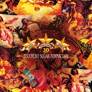 Zucchero, Paul Young — Senza Una Donna (Without A Woman)
