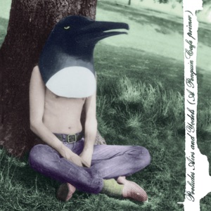 Penguin Cafe Orchestra — Music For A Found Harmonium