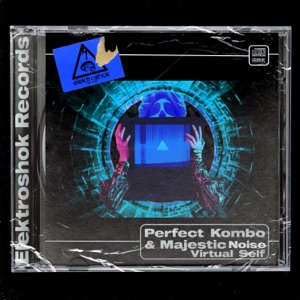 PERFECT KOMBO/MAJESTIC NOISE — Virtual Self