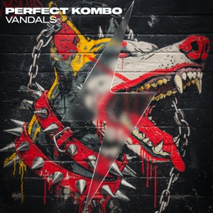 PERFECT KOMBO — Vandals