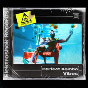PERFECT KOMBO — Vibes