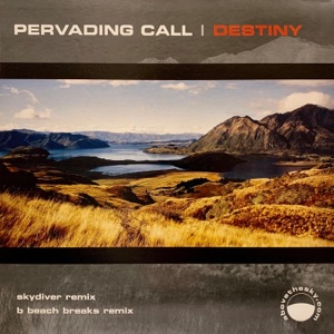 Pervading Call — Destiny (Skydiver Remix 2020 Remaster)