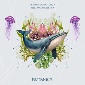 Peshta Gora — Aria (Extended Mix)