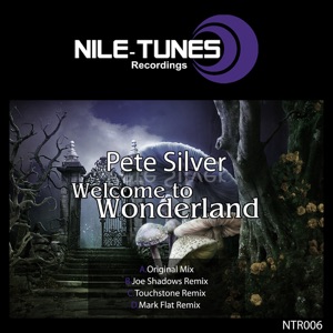 Pete Silver — Welcome To Wonderland (Joe Shadows Remix)