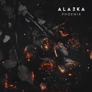PHOENIX — EVERYTHING IS EVERETHING (2003)