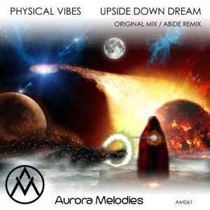 Physical Vibes — Upside Down Dream (Original Mix)