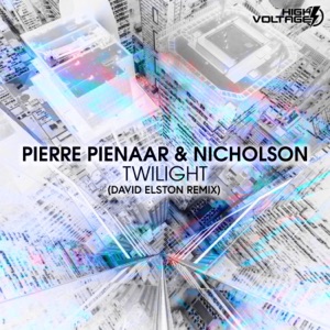 Pierre Pienaar & Nicholson — Twilight (David Elston Extended Remix)