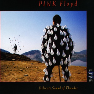 Pink Floyd — On The Turning Away (live)