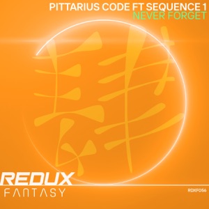 PITTARIUS CODE ft Sequence 1 — Never Forget (Original Mix)