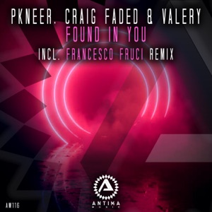 PKNeer and Craig Faded — Found in You (Extended Mix)
