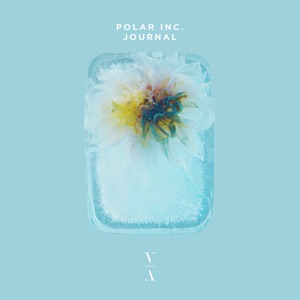 Polar Inc. — Journal