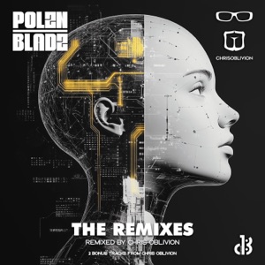 Polzn Bladz — Modus Operandi (Extended mix)